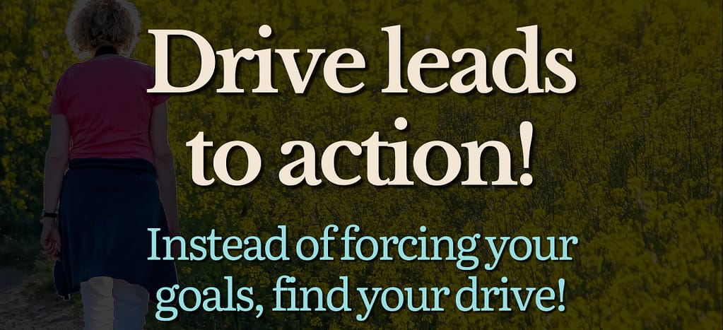 Drive leads to action! Instead of forcing your goals, find your drive!