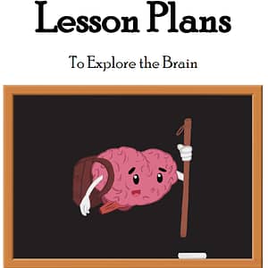 Brian the Brain Mind Trip Lesson Plan